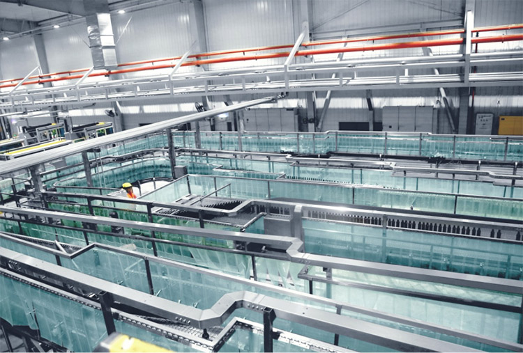 ������/������